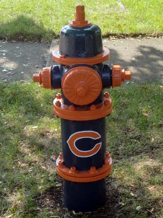 Da Bears - 1033 S. Rand